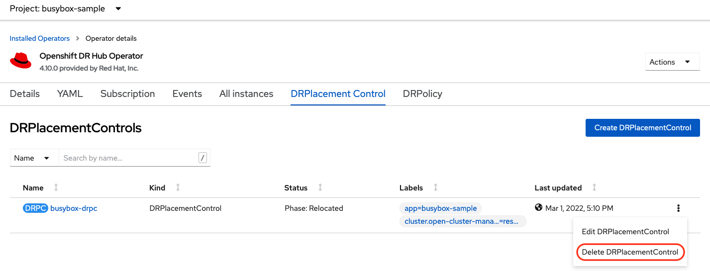 Delete busybox application DRPlacementControl